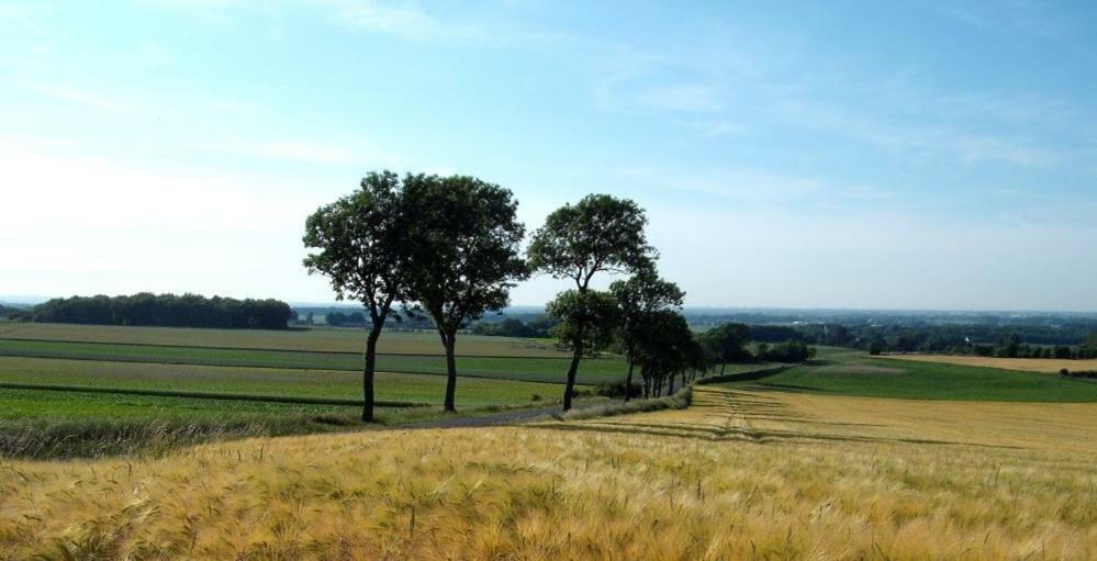 Camping Pommiers Des Trois Pays Licques Luaran gambar